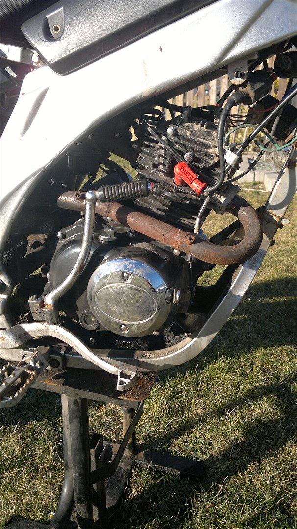 Aragon RX 36 motard billede 6