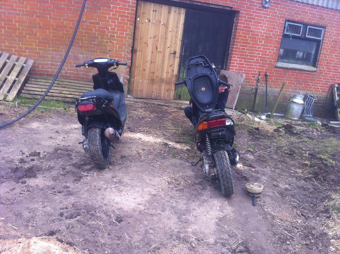 PGO HOT 50! HotteLotte! (Konfiskeret) (Politi) billede 5