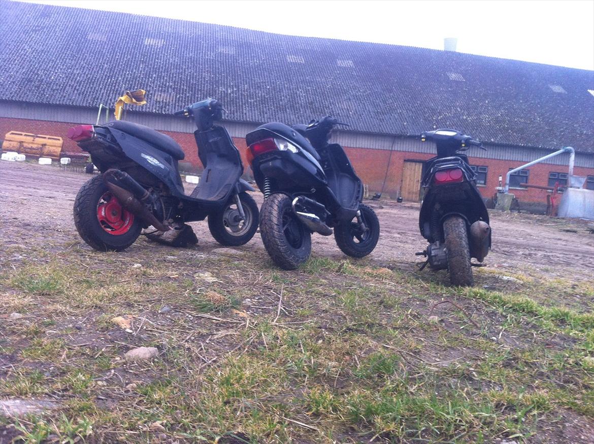 PGO HOT 50! HotteLotte! (Konfiskeret) (Politi) billede 11