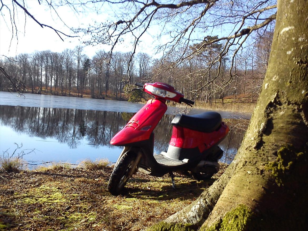 PGO Comet [Tidl. Knallert] billede 8