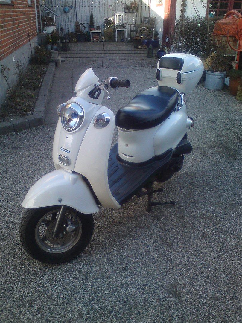 Giantco venus 2 billede 1