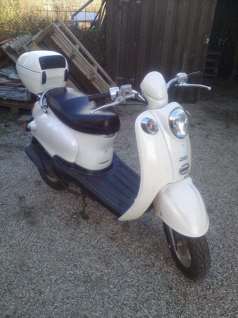 Giantco venus 2 billede 4