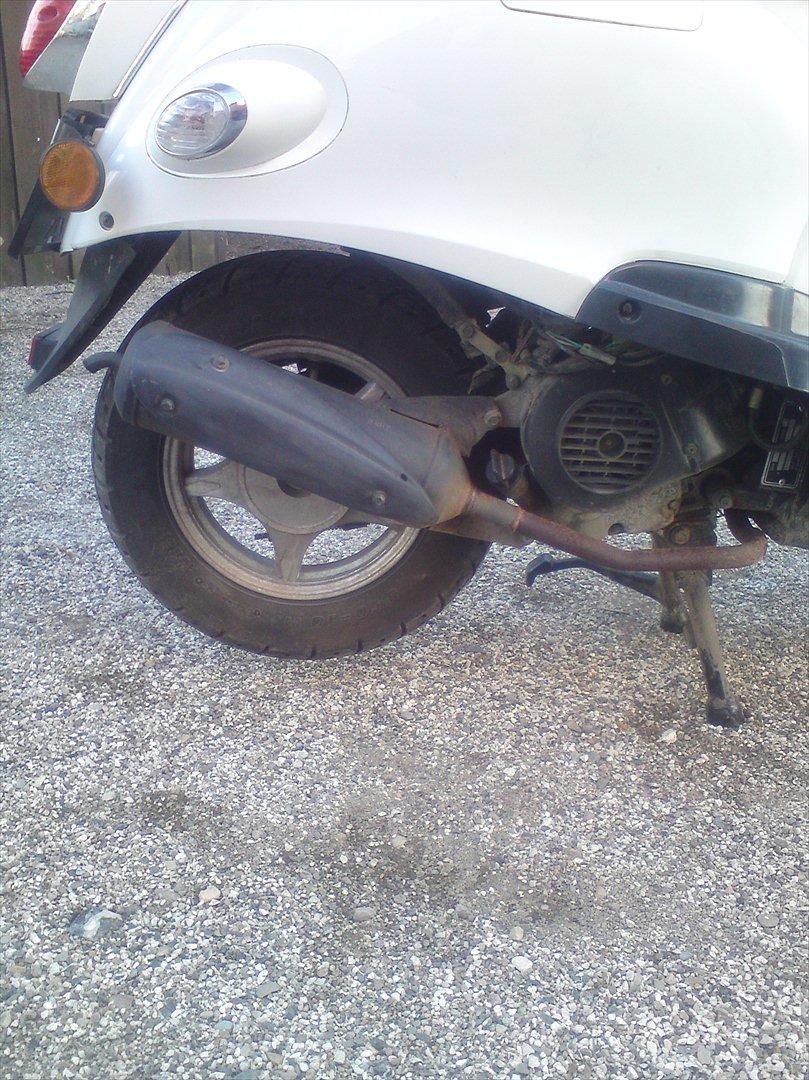 Giantco venus 2 billede 6