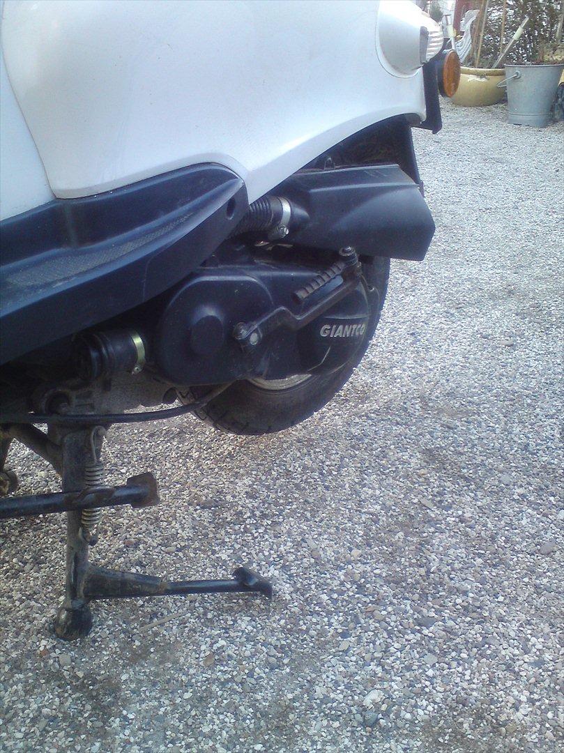 Giantco venus 2 billede 8