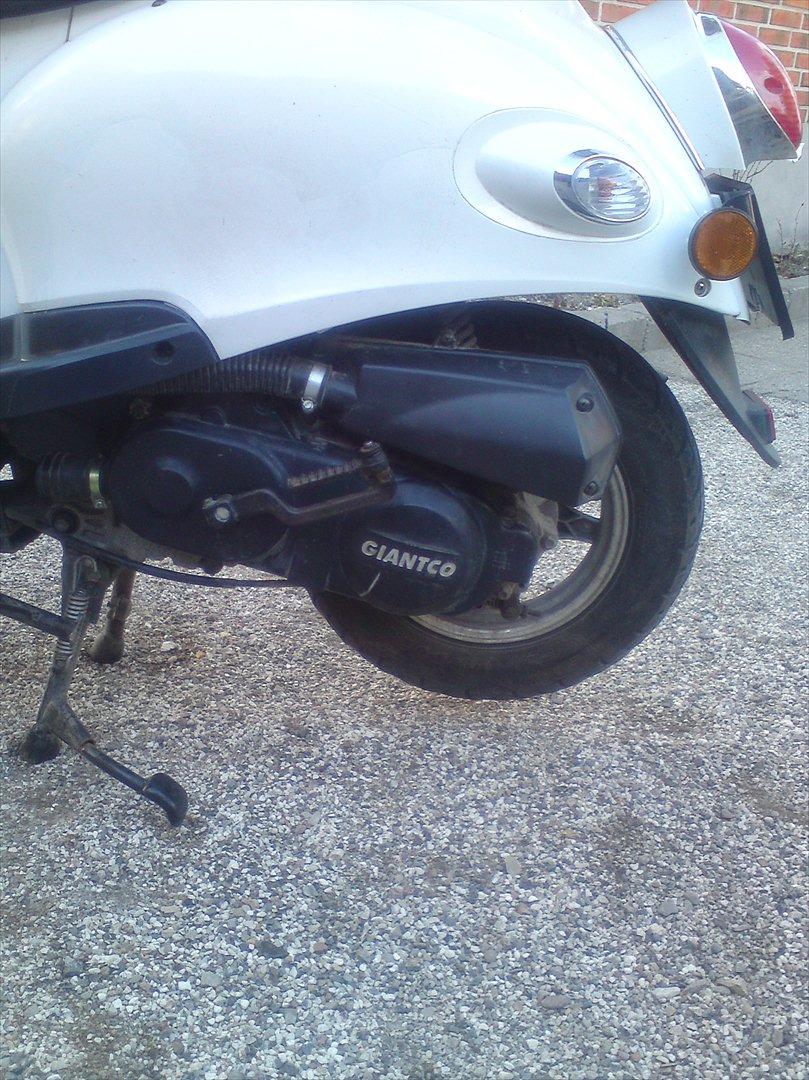 Giantco venus 2 billede 9