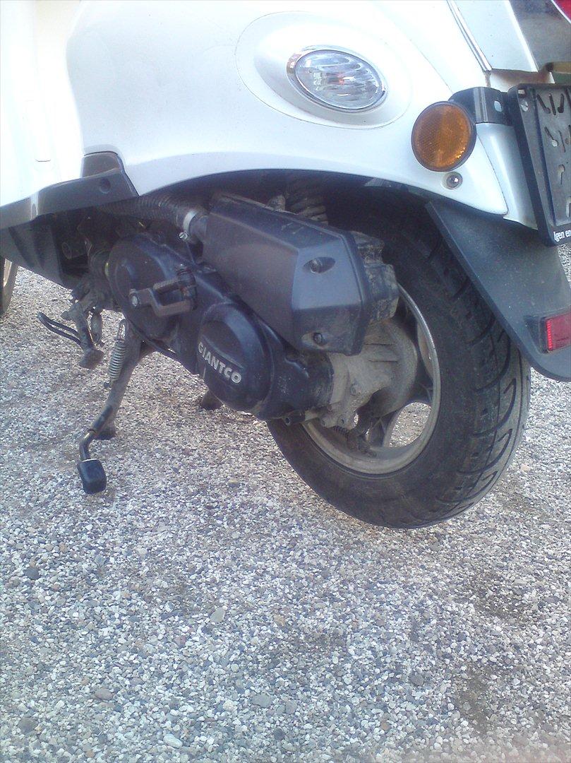 Giantco venus 2 billede 10