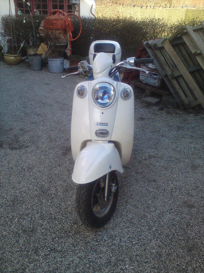 Giantco venus 2 billede 11