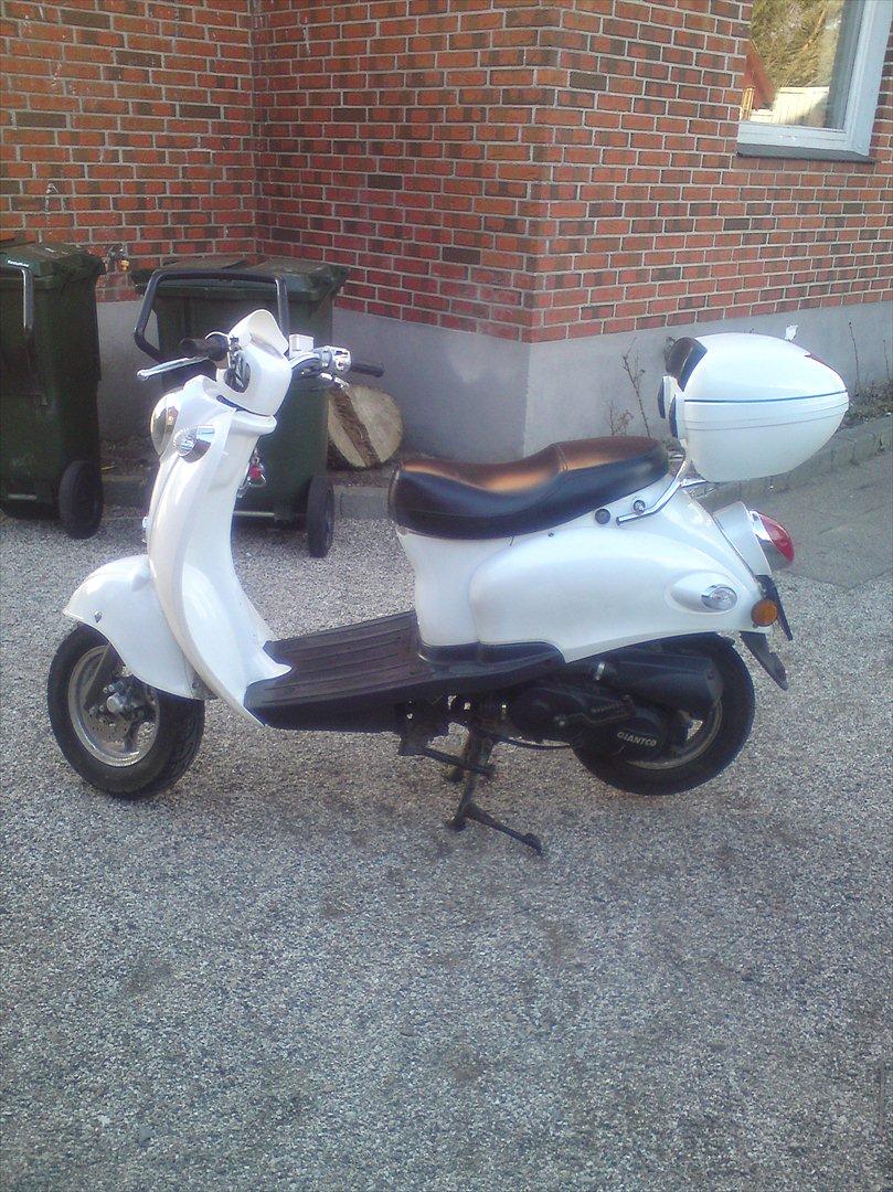 Giantco venus 2 billede 12