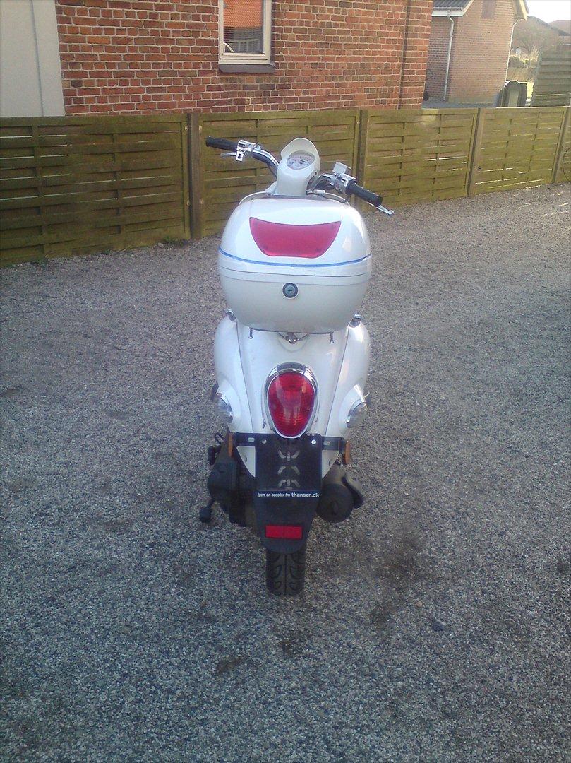 Giantco venus 2 billede 13