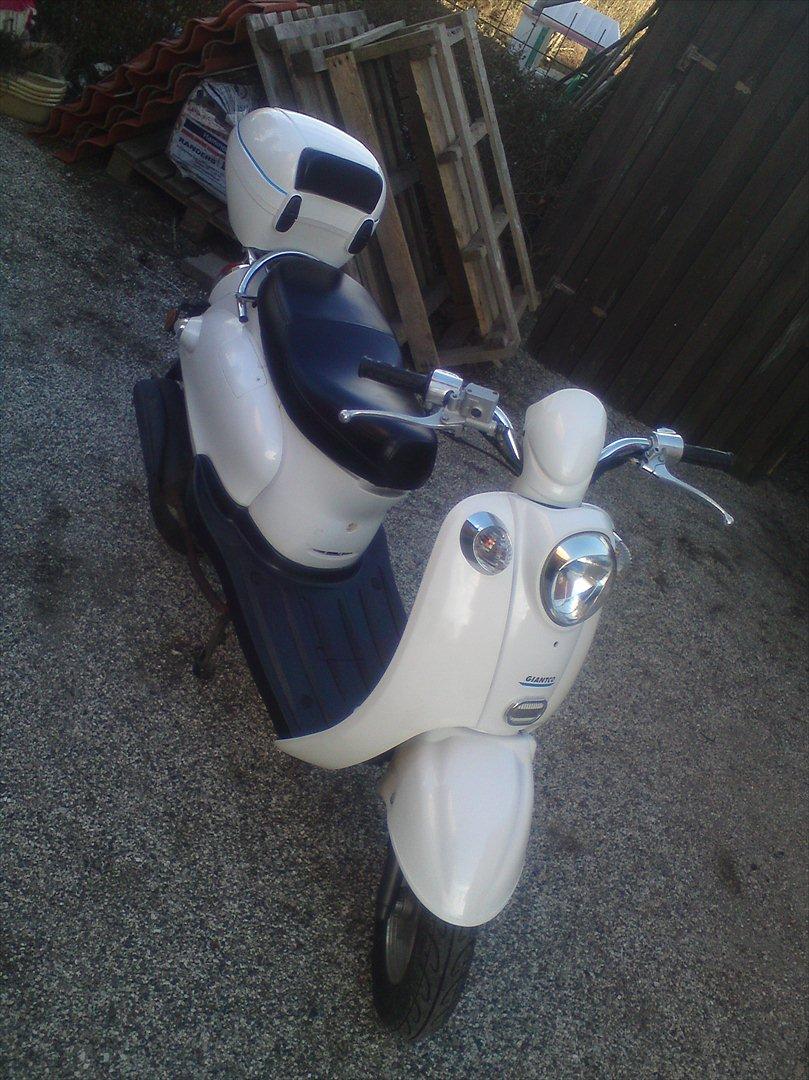 Giantco venus 2 billede 15