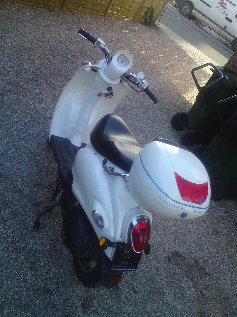 Giantco venus 2 billede 16