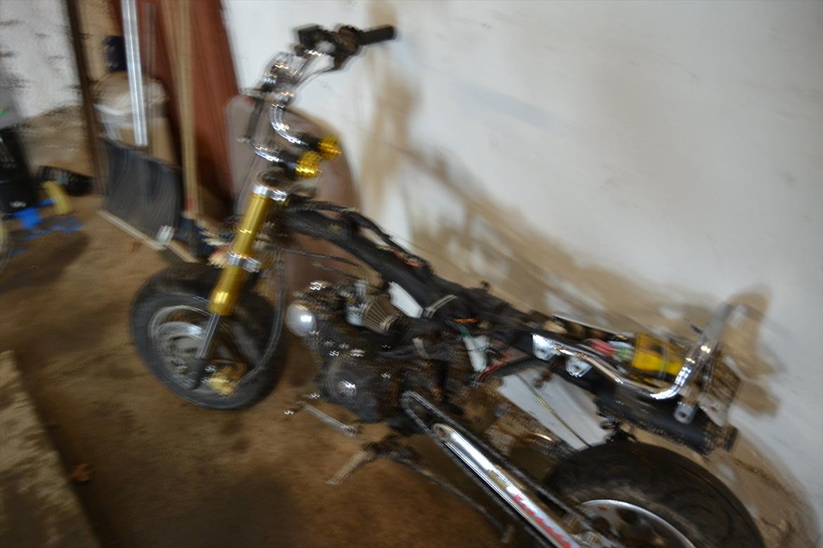 Skyteam Gorilla (SOLGT) billede 10