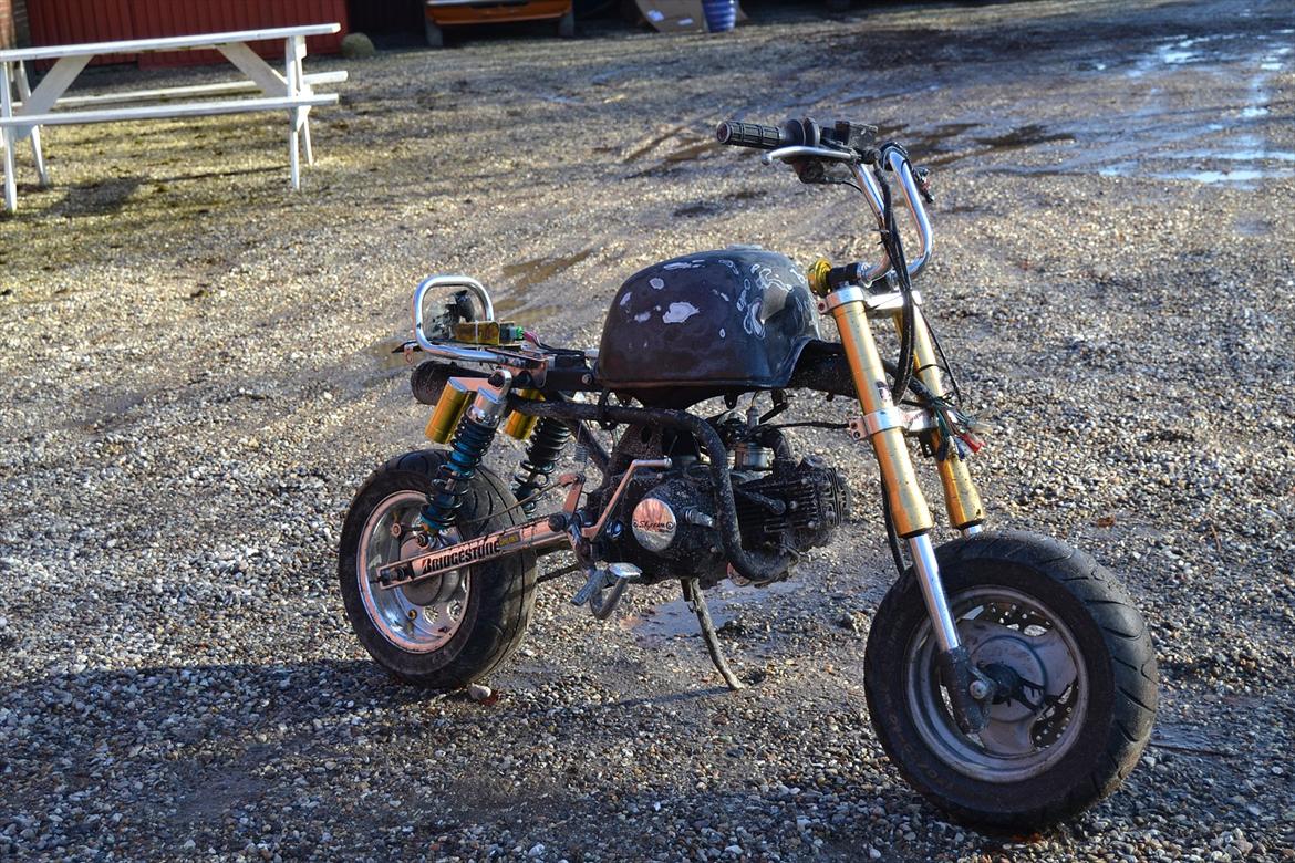 Skyteam Gorilla (SOLGT) billede 14