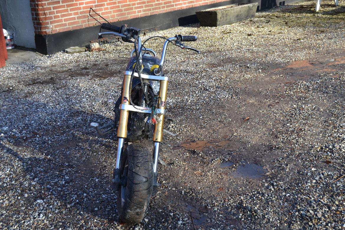 Skyteam Gorilla (SOLGT) billede 15