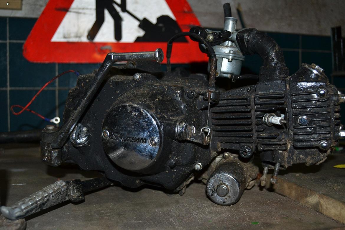 Skyteam Gorilla (SOLGT) billede 18