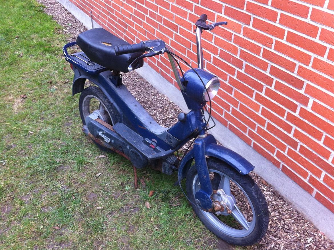Piaggio Grillo billede 1