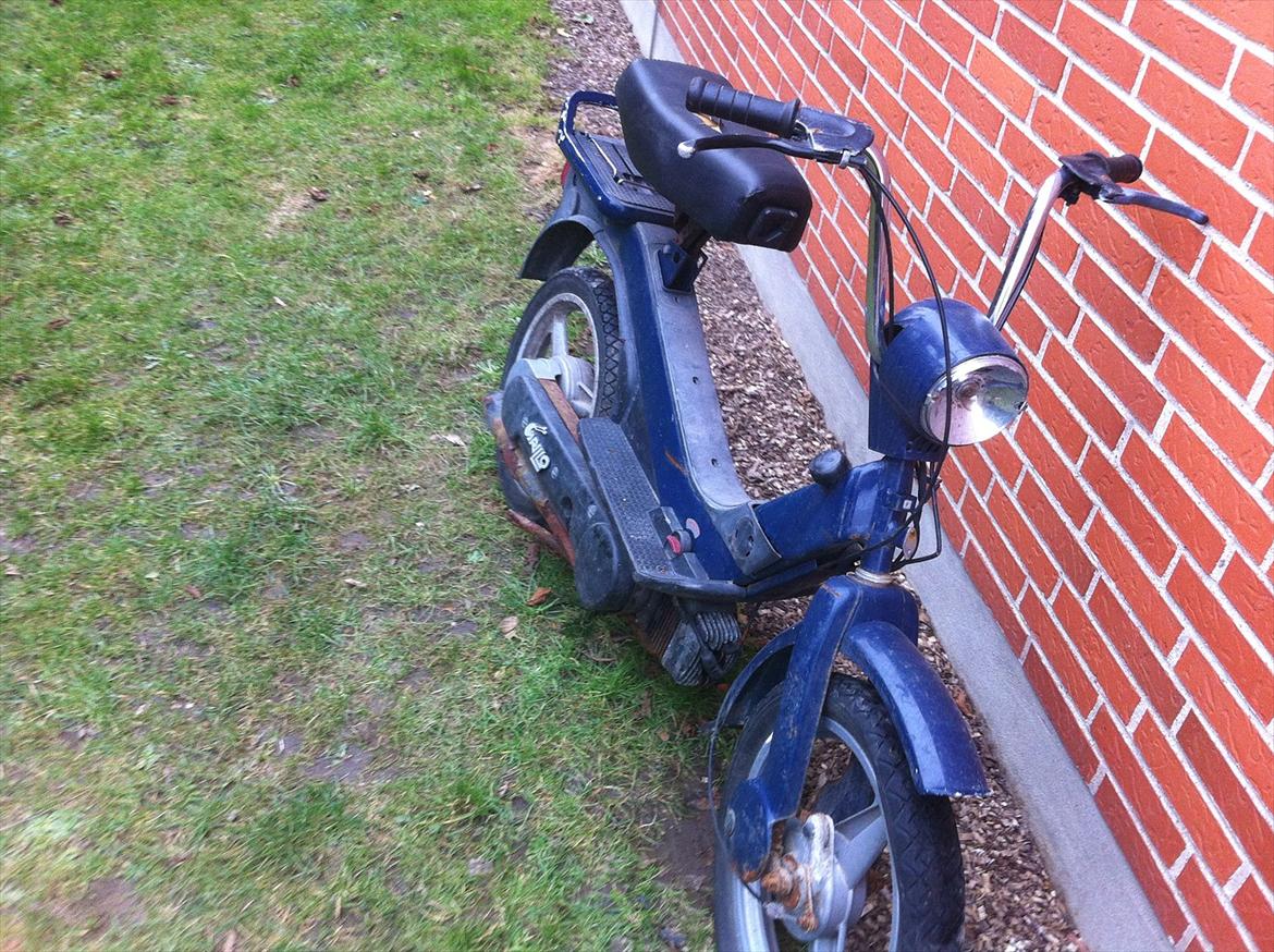 Piaggio Grillo billede 4