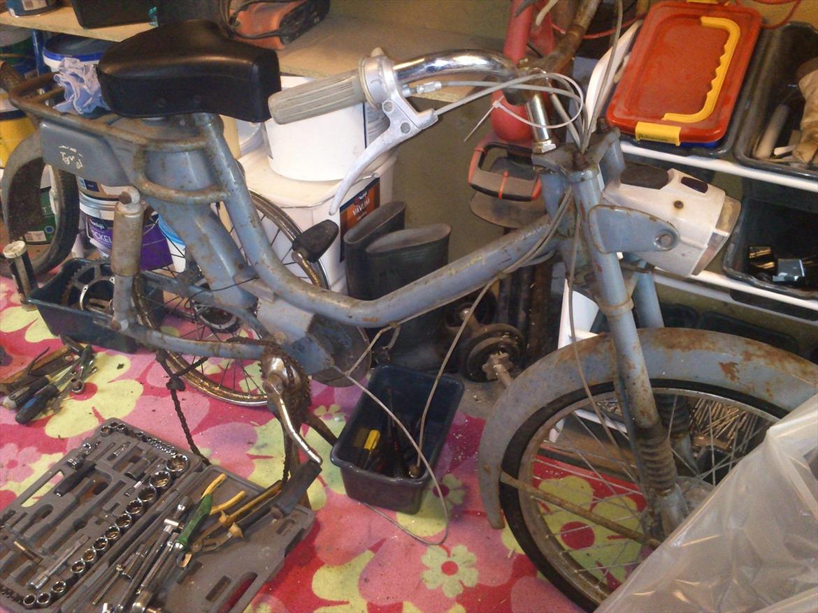 Tomos Handy billede 3