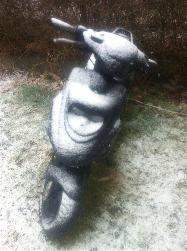 PGO HOT 50! HotteLotte! (Konfiskeret) (Politi) billede 15