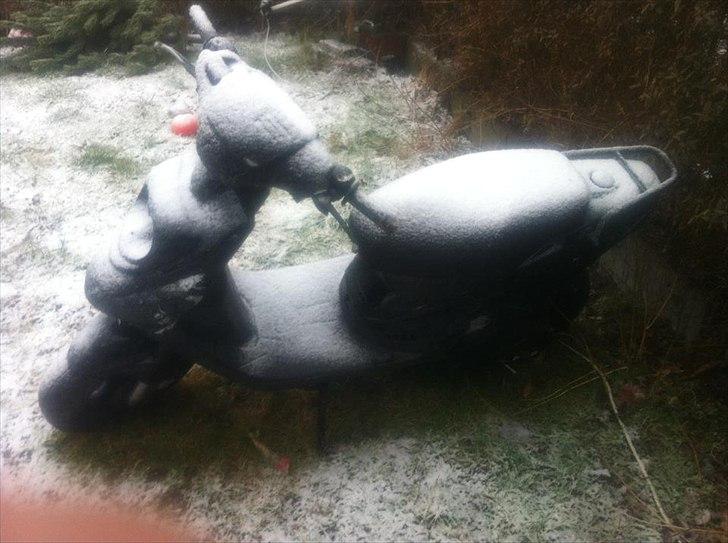 PGO HOT 50! HotteLotte! (Konfiskeret) (Politi) billede 19