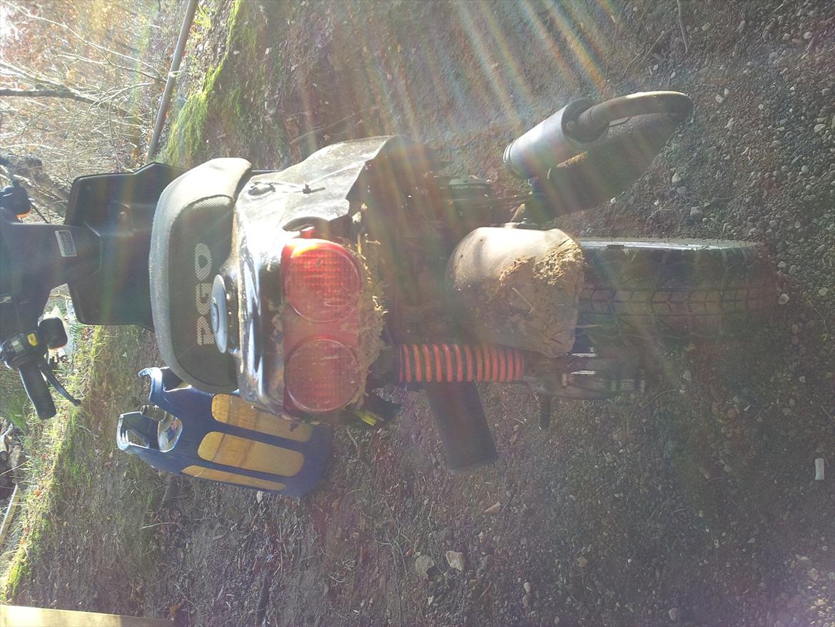 PGO hot 50 billede 5