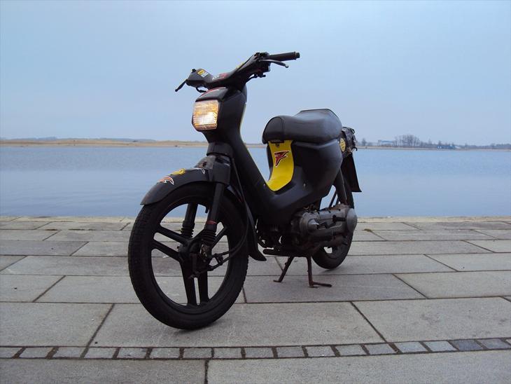 Honda Wallaroo billede 1