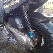 PGO BigMax [SOLGT] (Top Performence Trophy 70ccm)