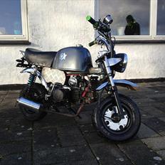Skyteam Gorilla 140cc OC