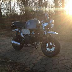 Skyteam Gorilla 140cc OC