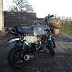 Skyteam Gorilla 140cc OC