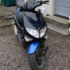 Peugeot speedfight 2