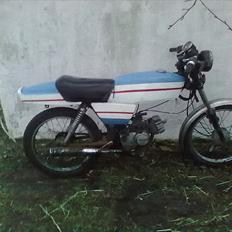 Suzuki gsxR 50 hayabusa (dm 50)