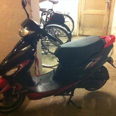 Giantco sprint *SOLGT*