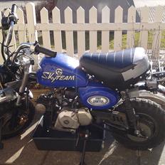 Skyteam Monkey, Z 50 J