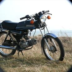 Suzuki Dm 50