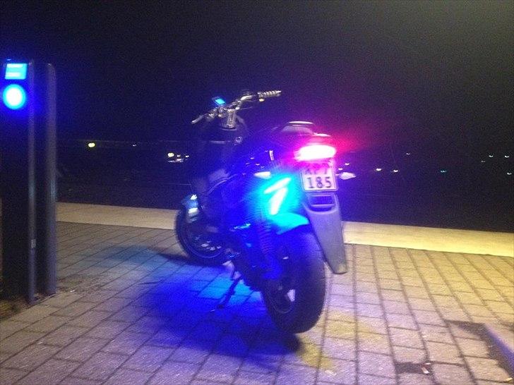 PGO Pmx Naked Carbon billede 17