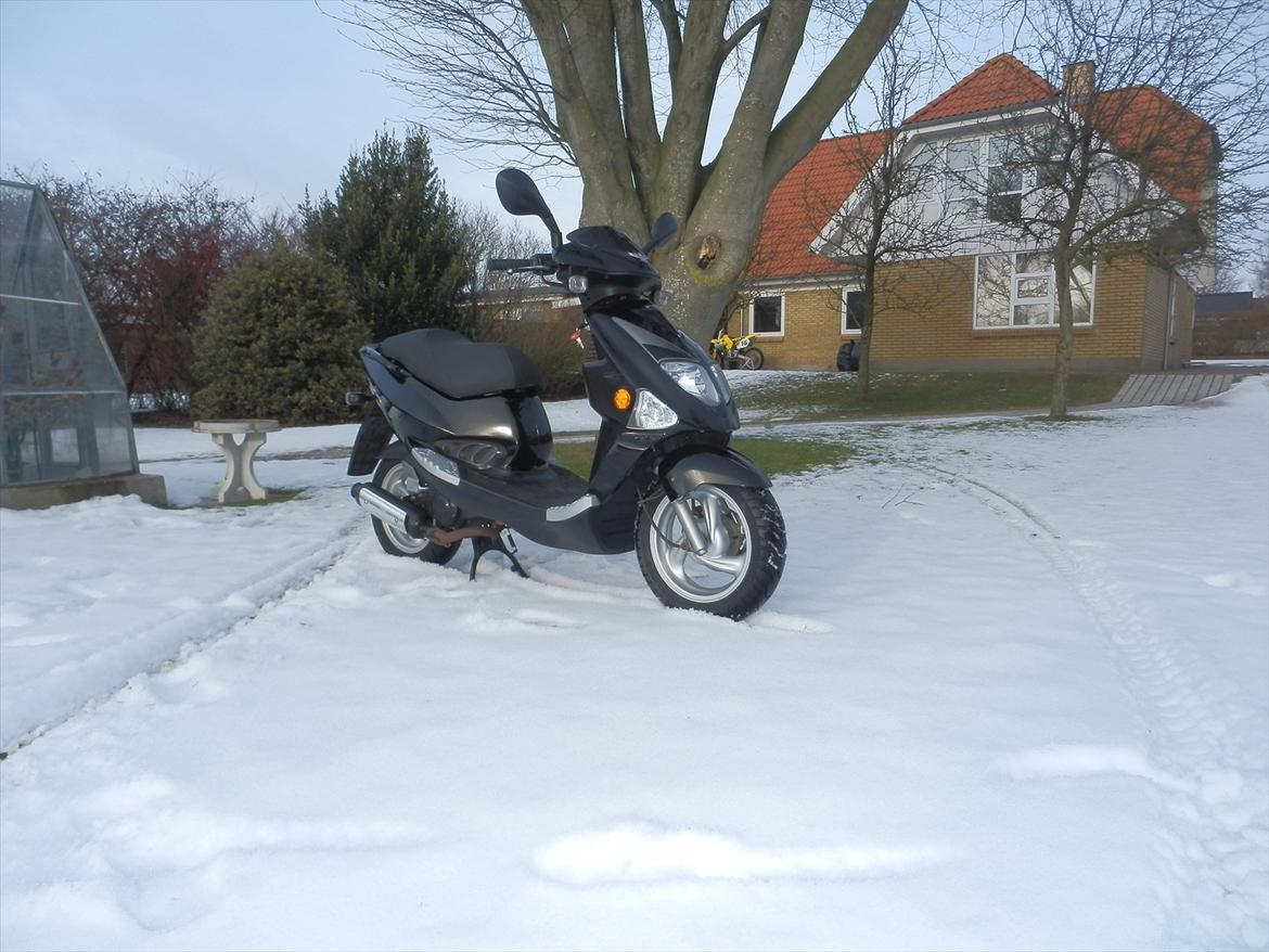 PGO Dr. Big billede 7