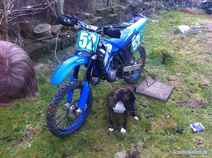 TM racing 125ccm billede 6