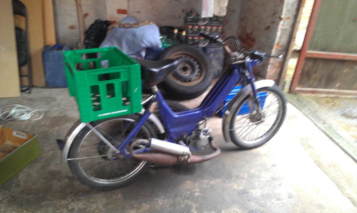 Puch Maxi k - ny ged i maxi-parken billede 14