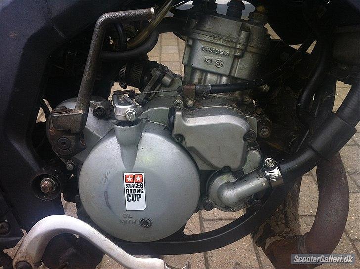 Derbi senda  billede 10