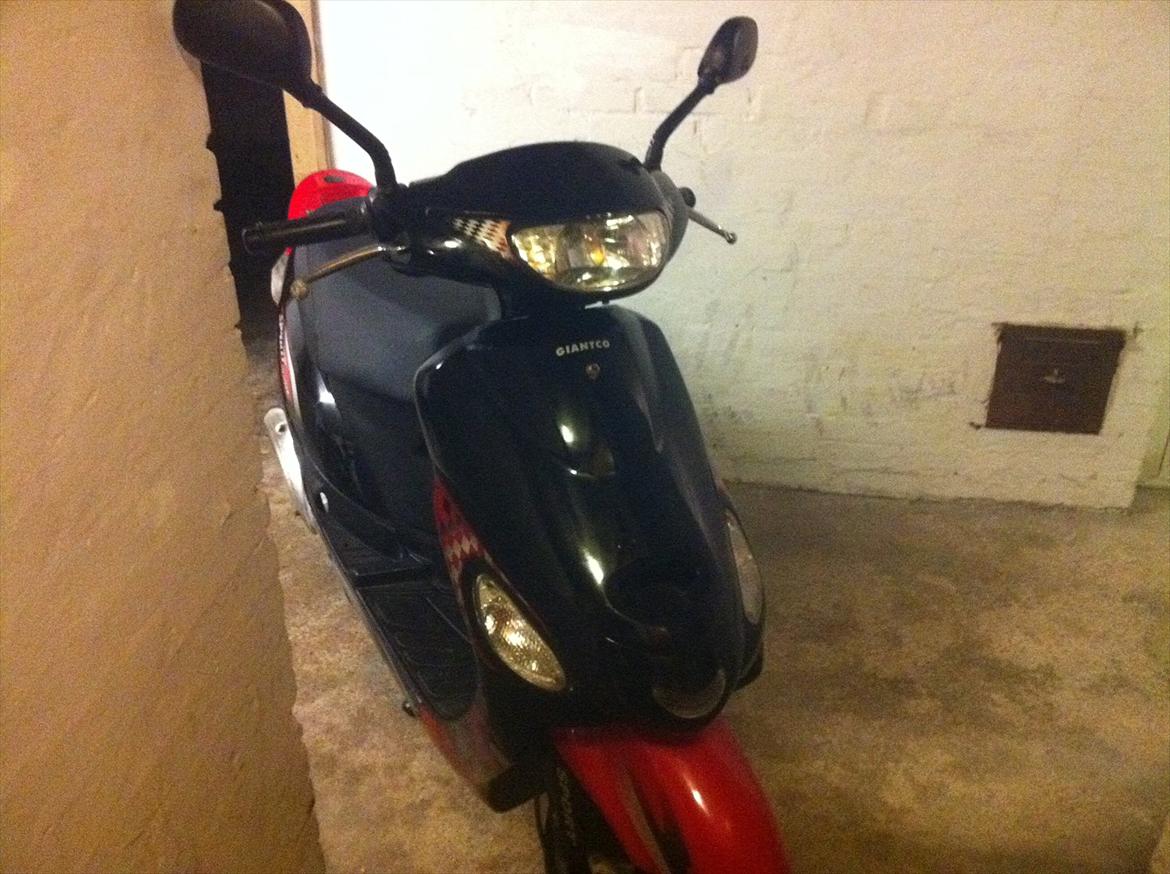 Giantco sprint *SOLGT* billede 4