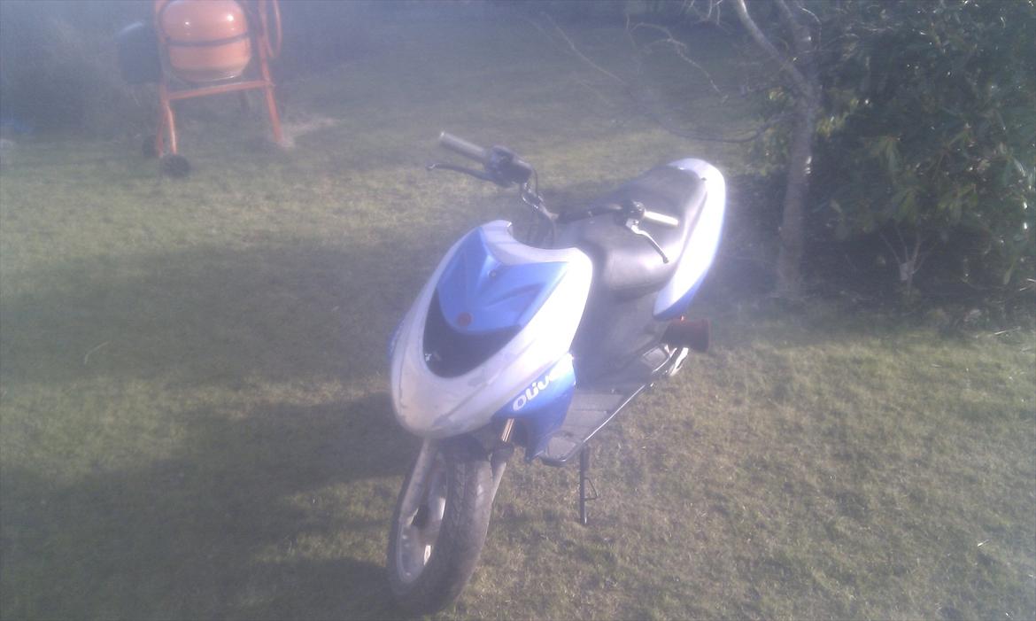 CPI Oliver billede 1