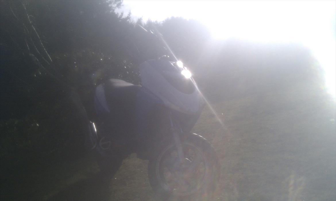 CPI Oliver billede 4