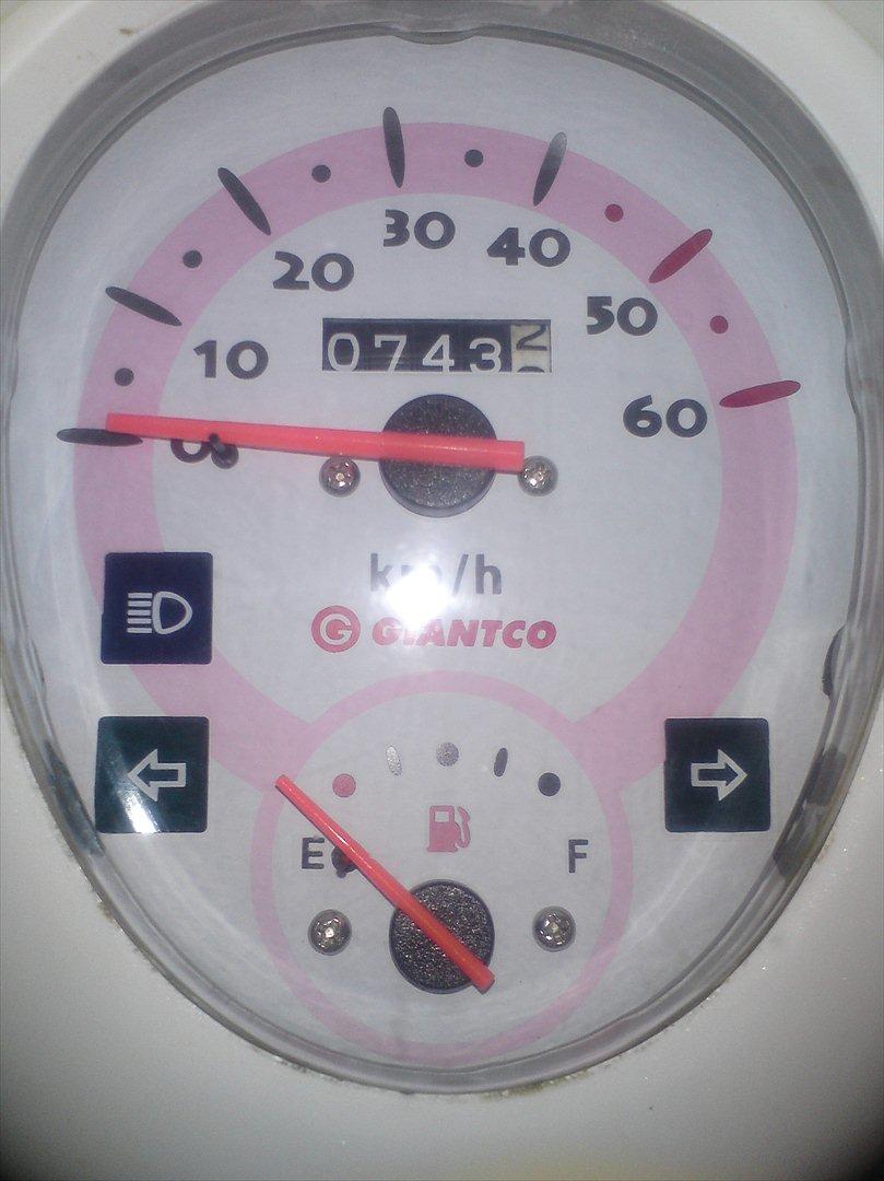 Giantco venus 2 billede 17