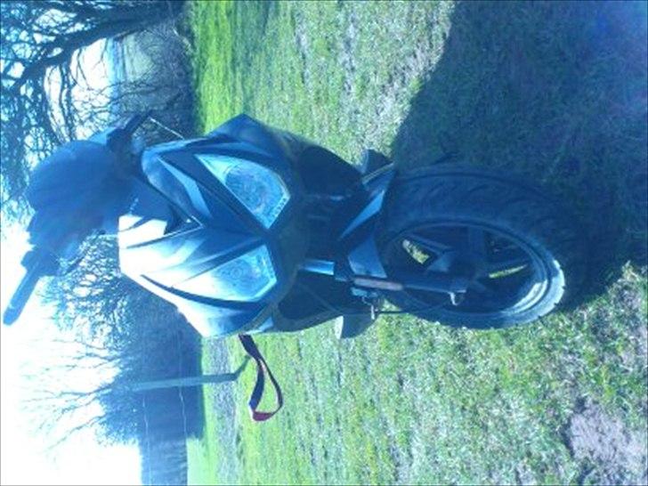 Giantco Lambros billede 5