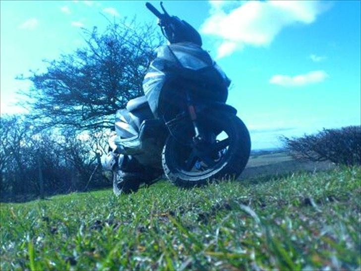 Giantco Lambros billede 3