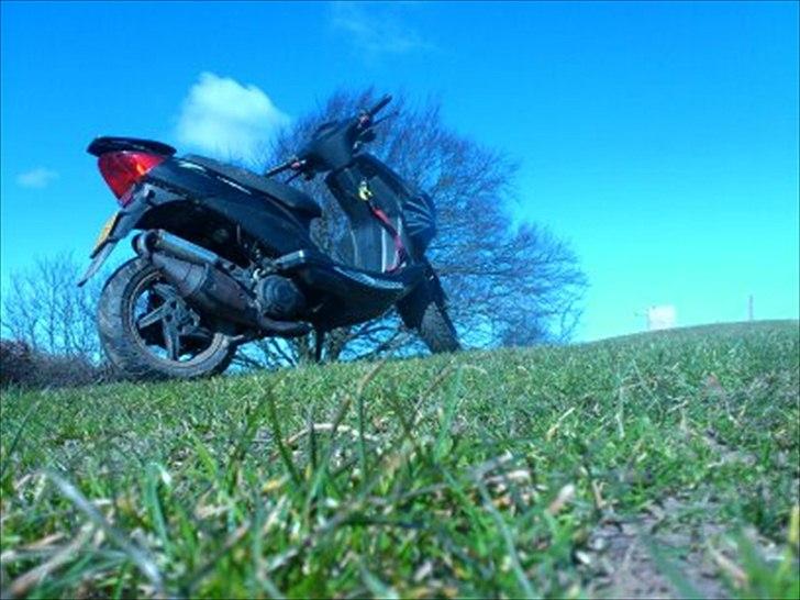 Giantco Lambros billede 2