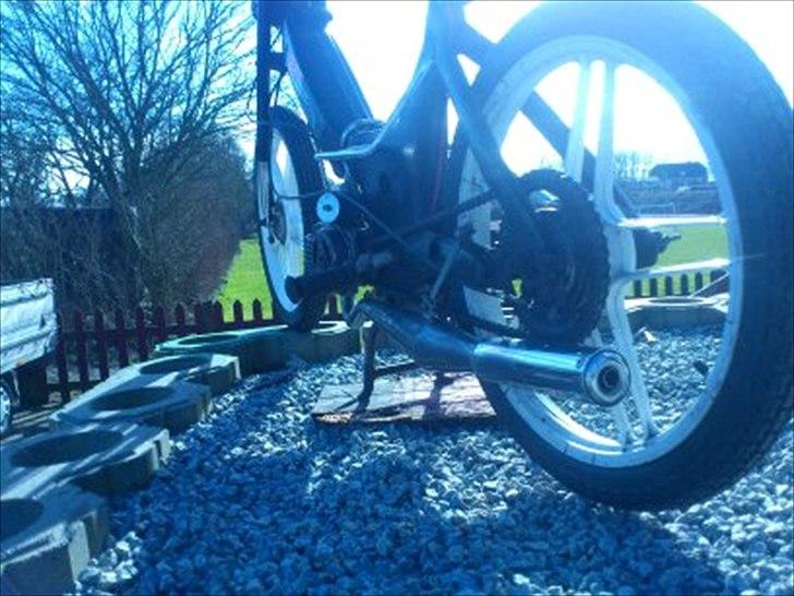 Puch Maxi billede 10