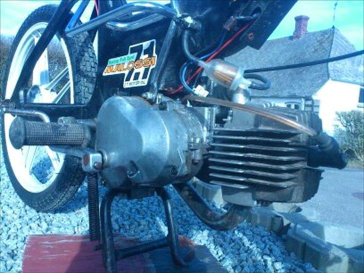 Puch Maxi billede 14