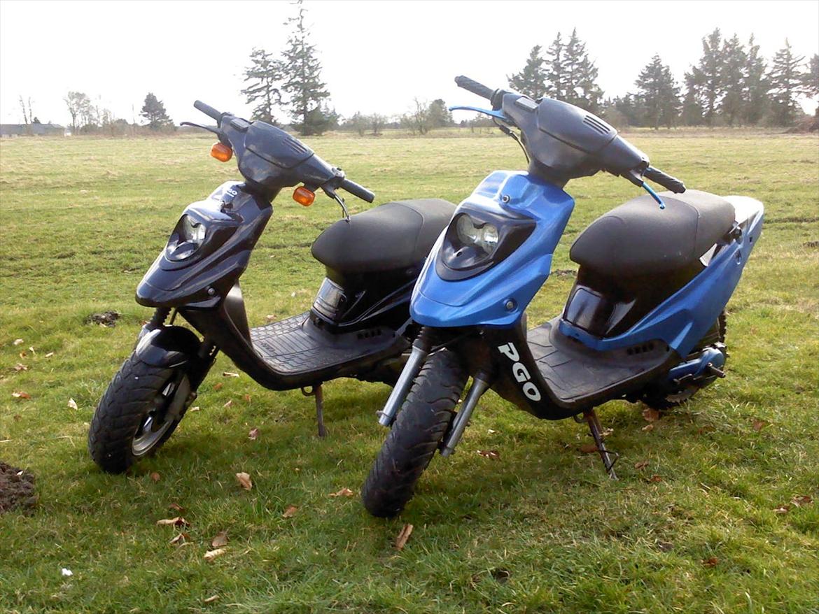 PGO Hot 50 (solgt) billede 7